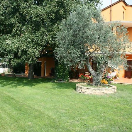 Sossa Apartments Umag Dış mekan fotoğraf