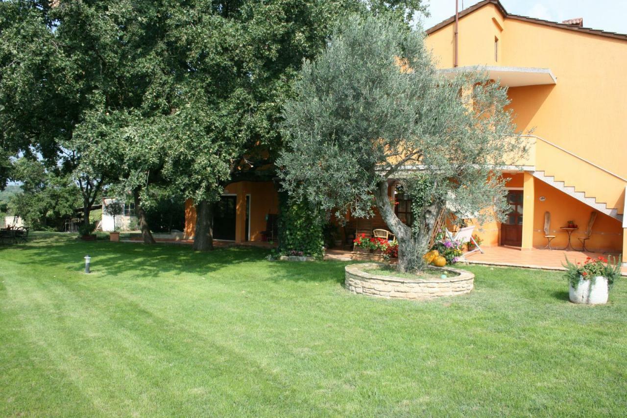 Sossa Apartments Umag Dış mekan fotoğraf